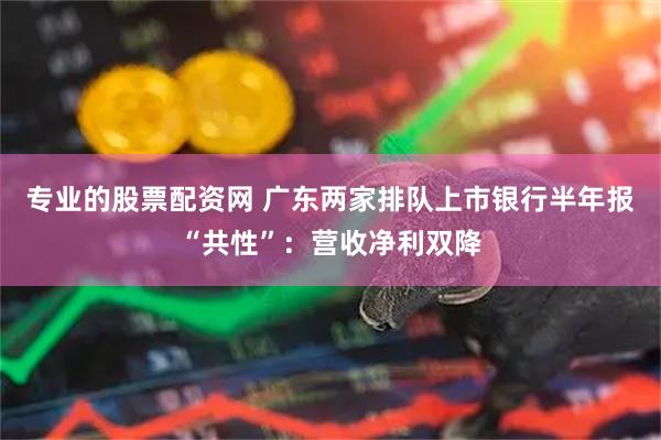专业的股票配资网 广东两家排队上市银行半年报“共性”：营收净利双降
