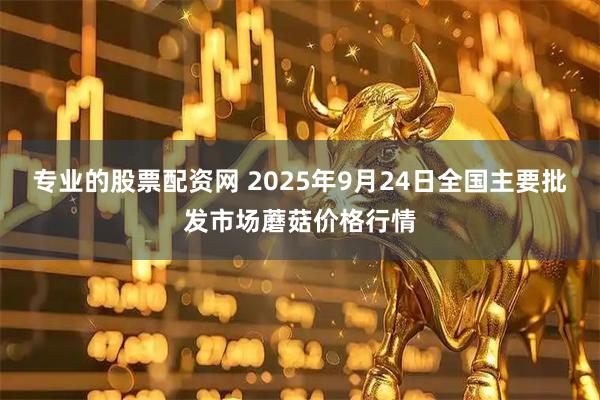 专业的股票配资网 2025年9月24日全国主要批发市场蘑菇价格行情