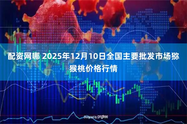 配资网哪 2025年12月10日全国主要批发市场猕猴桃价格行情